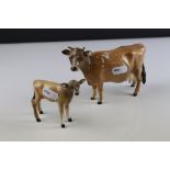 Beswick Jersey Cow ' Ch. Newton Tinkle ' model 1345 and Beswick Jersey Calf, model 1249d