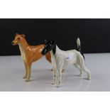 Two Beswick Dogs - Smooth Haired Terrier ' Endon Black Rod ' model 964 and Greyhound ' Jovial