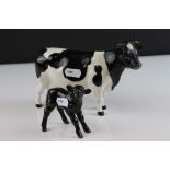 Beswick Friesian Cow ' Claybury Leegwater ' model 1362a together with Beswick Aberdeen Angus Calf,