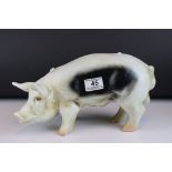 Small Butcher's Shop Display Pig, 31cms long