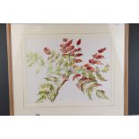 Alison Cooper, a fine botanical artwork study of a mahonia japonica plant, signed & dated,