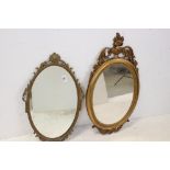 Two ornate rococo style mirrors