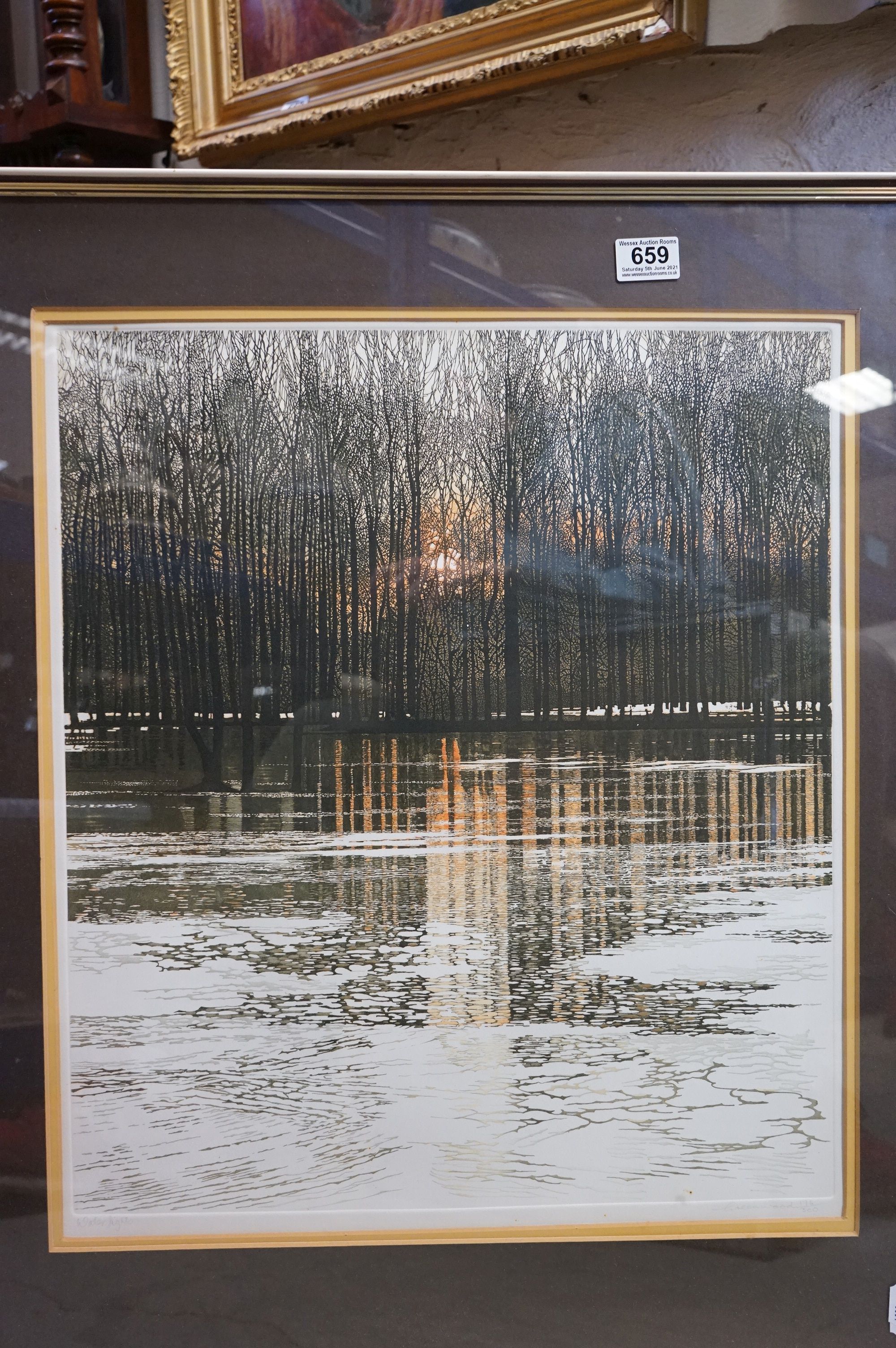 Two framed and glazed Phil Greenwood coloured engravings, Tree Net 11 & Water light, together with - Bild 5 aus 5