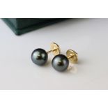 Black pearl 18ct yellow gold stud earrings, the spherical black pearls with green lustre, diameter