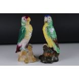 Pair of Early 20th century Tuscan China Parrots, 24cms high