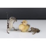 Taxidermy chick together with a similar Toad and baby Crocodile.