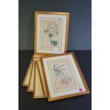 Six framed and glazed Botanical prints.