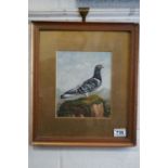 Oil on board, a study of a pigeon perched on a rocky outcrop