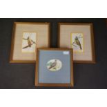 Set of three oval oil painting miniatures on bone, studies of song bird and an owl on branches