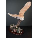 Border Fine Arts Model of a Barn Owl in Flight titled ' Silent Wings ' B0746, limited edition, 61cms