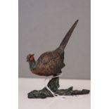 A cold painted bronze sculpture of a cock pheasant, indistinctly signed to base.