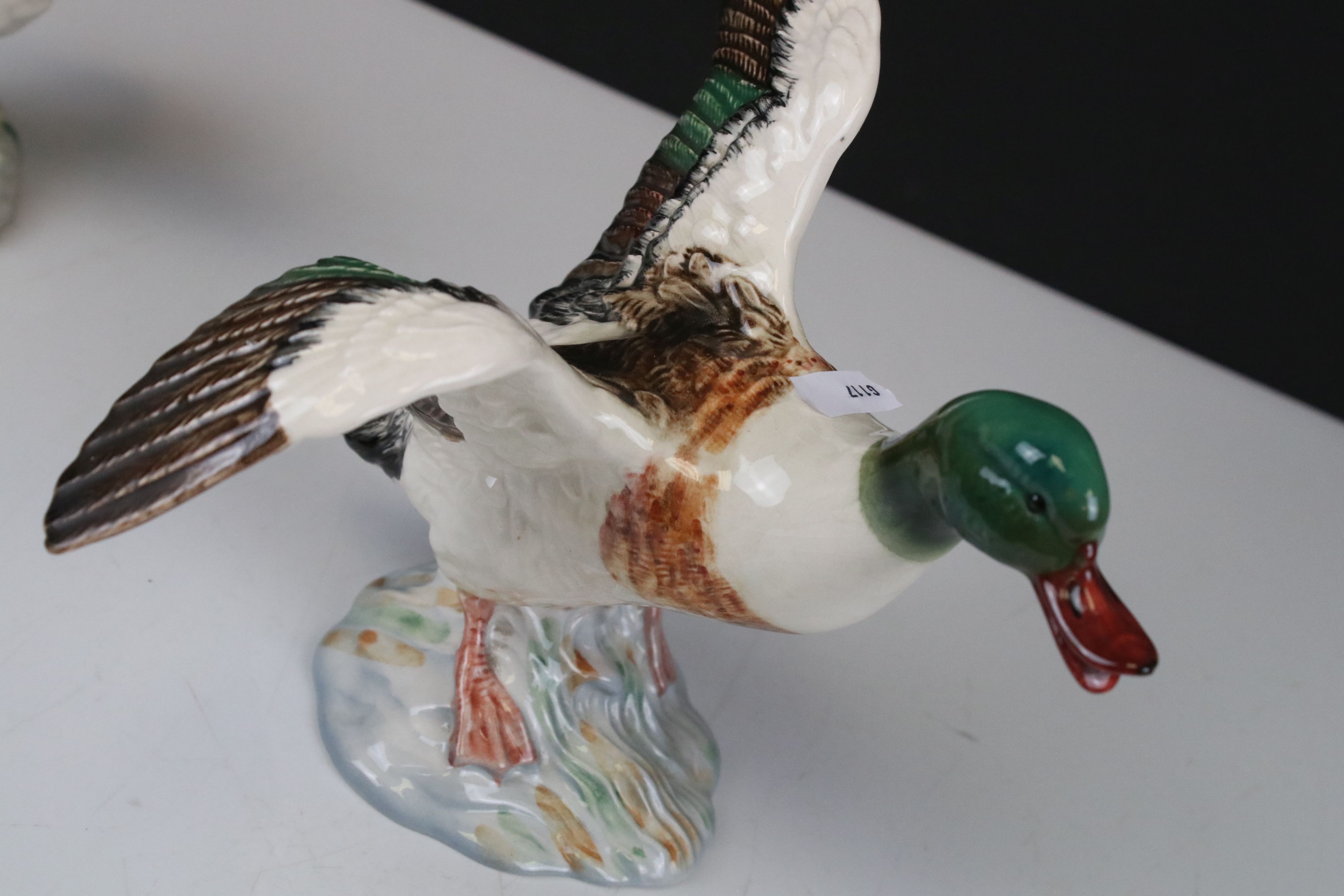 Beswick Sheldrake Duck settling, with beak open (no.995) and Beswick Mallard Duck taking off (no. - Image 2 of 8