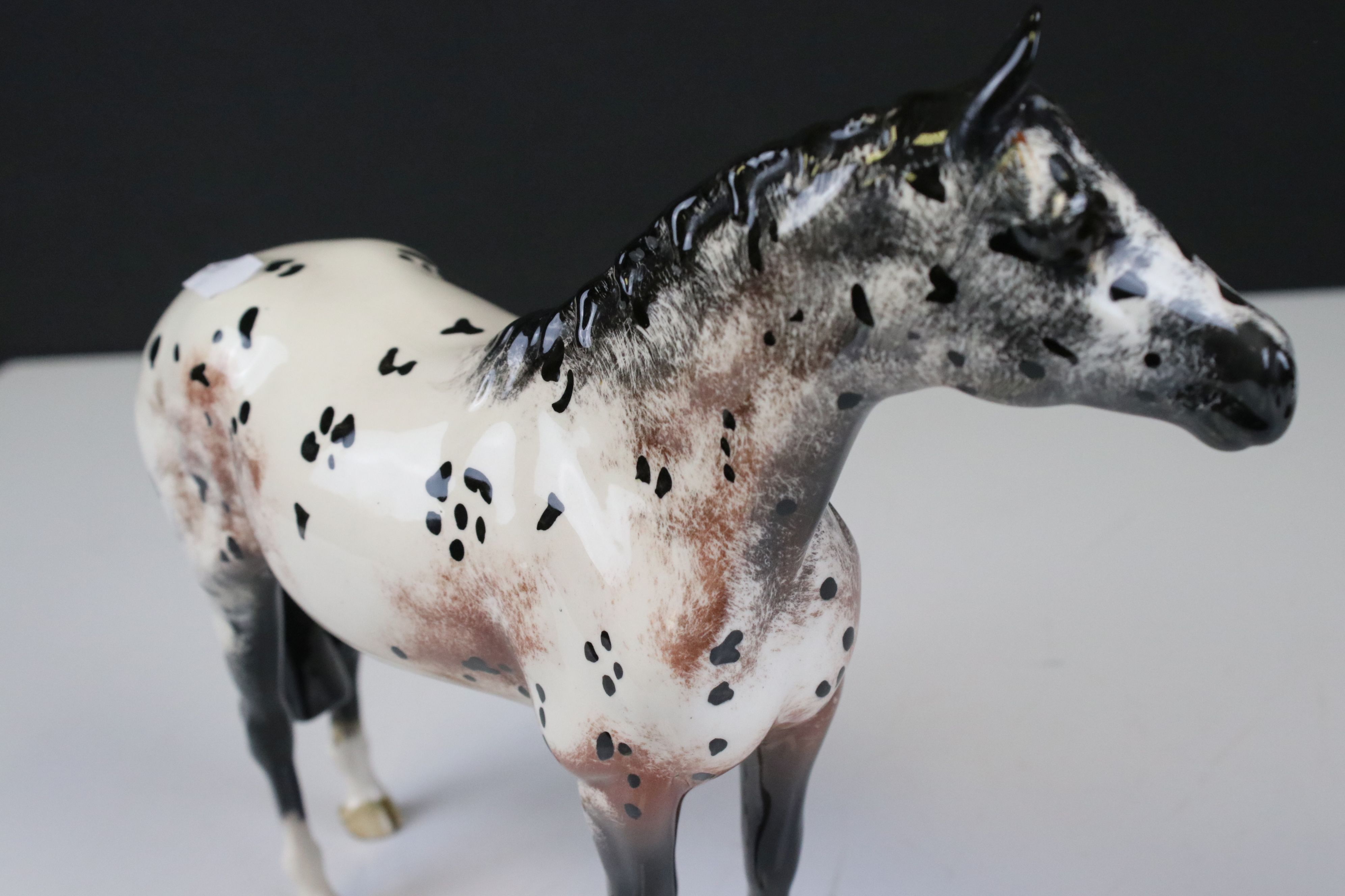 Beswick Skewbald Pinto Pony (first version) (no. 1373) together with a Beswick Appaloosa Stallion ( - Image 9 of 12