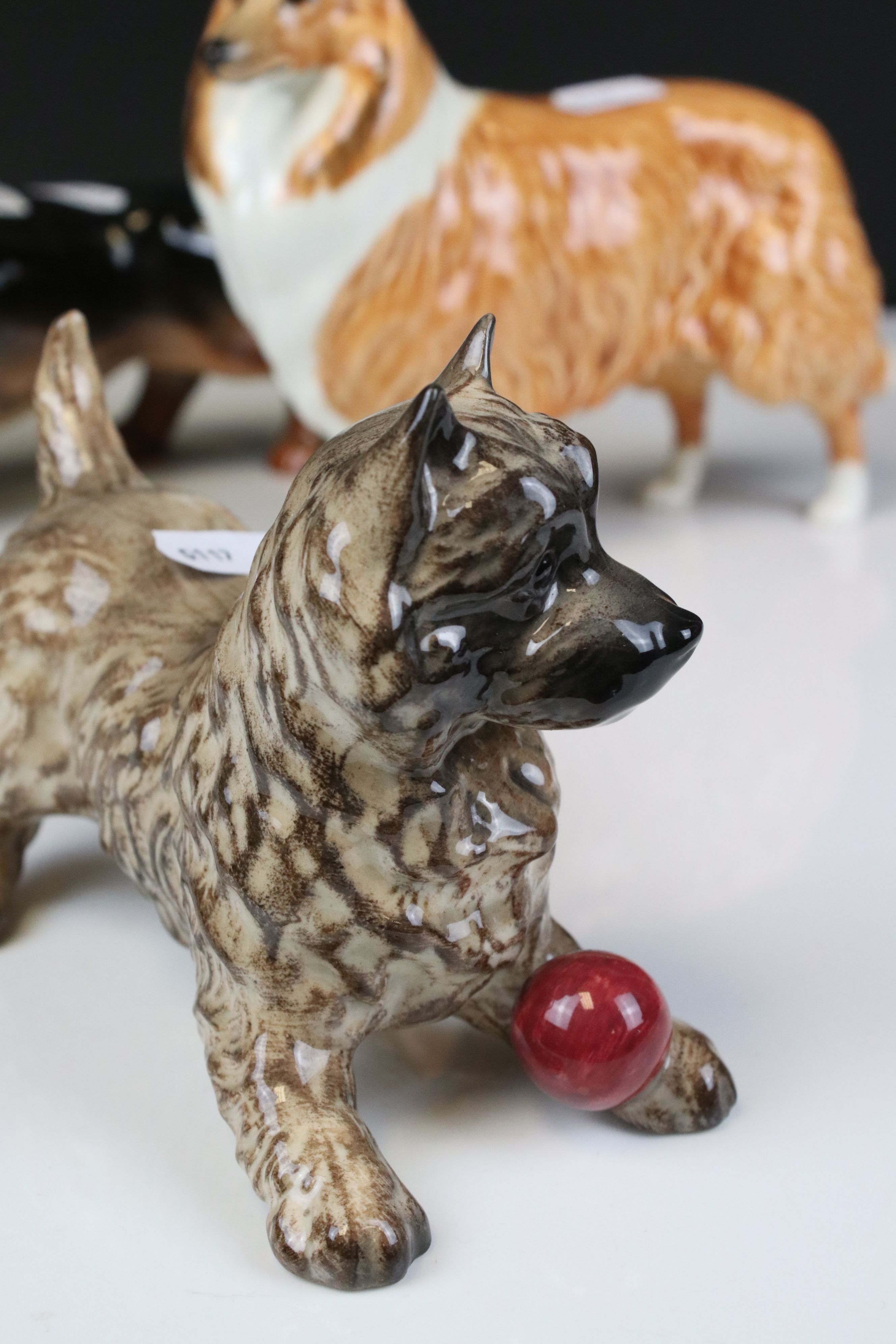 Four Beswick Dogs including Dachshund - standing (no. 361), Cairn Terrier with ball (no. 1055a), - Image 3 of 12