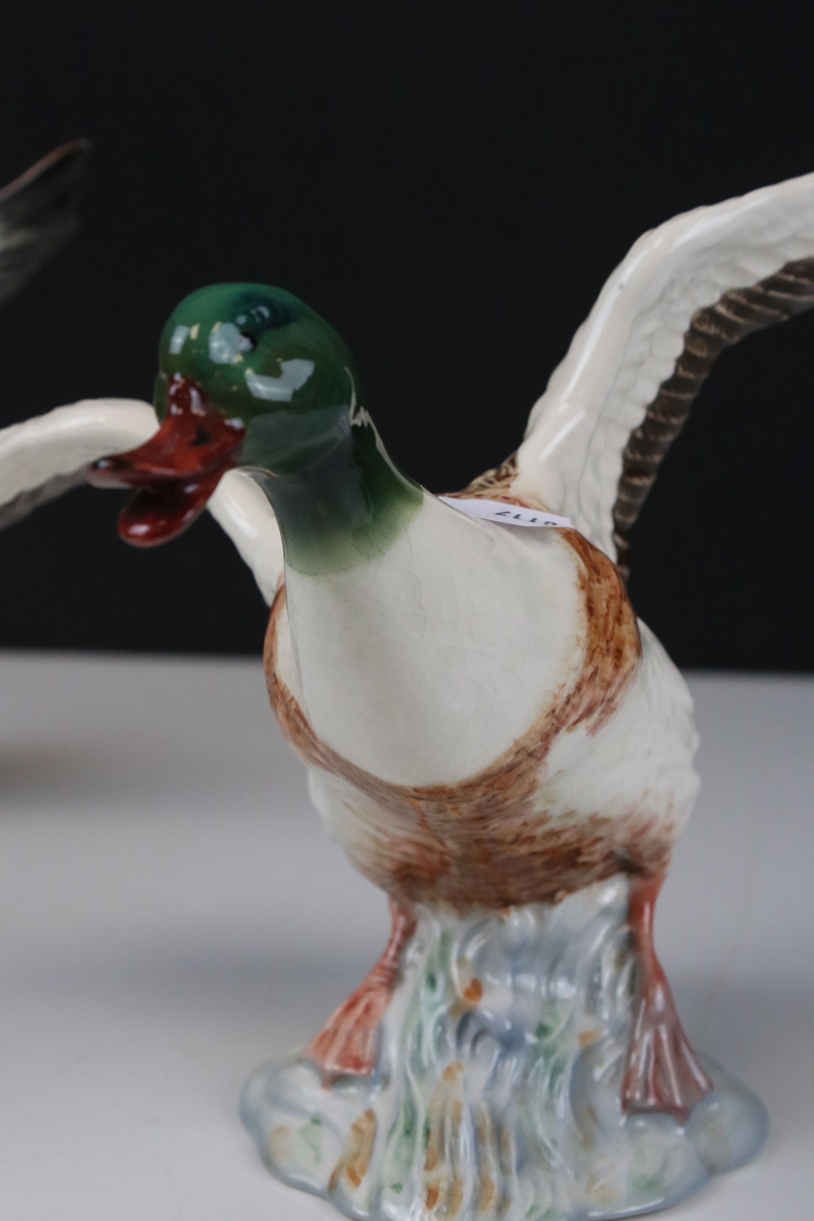 Beswick Sheldrake Duck settling, with beak open (no.995) and Beswick Mallard Duck taking off (no. - Image 3 of 8