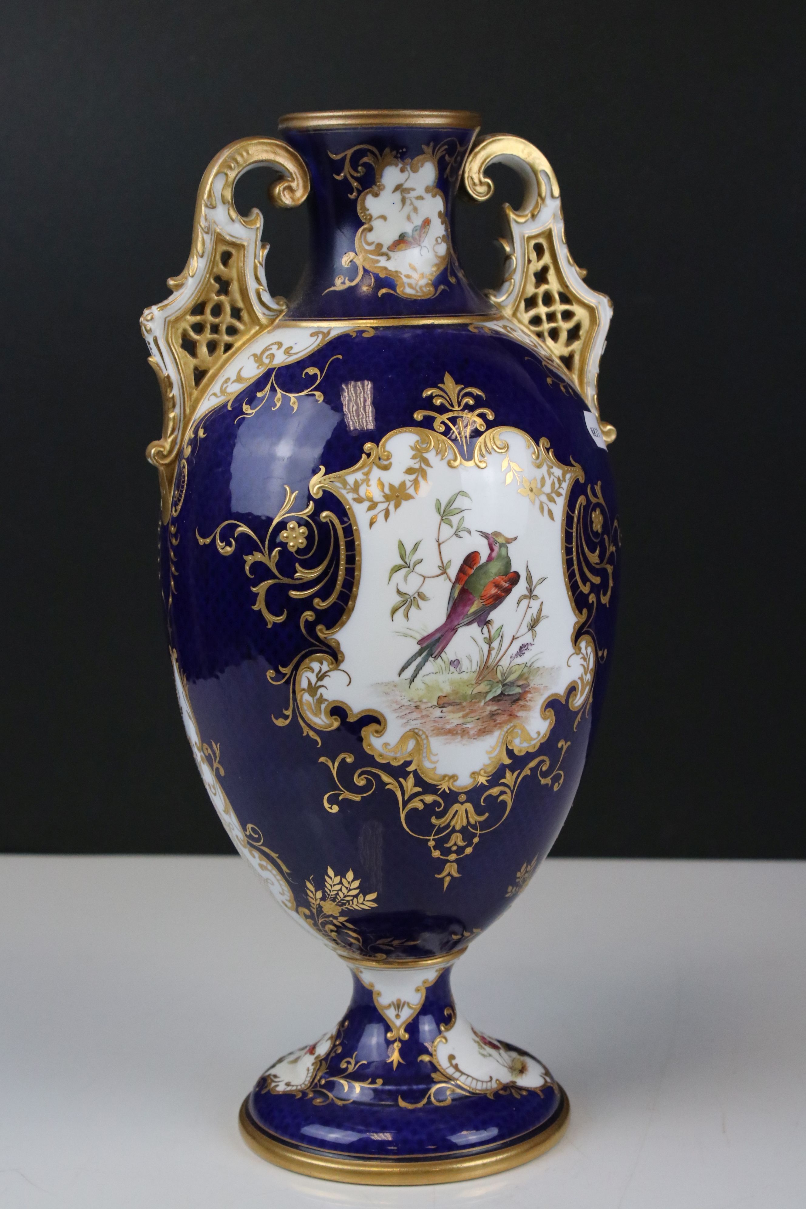 Early 20th century Coalport Twin Handled Vase, painted with panels of an exotic birds, floral sprays