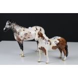 Beswick Skewbald Pinto Pony (first version) (no. 1373) together with a Beswick Appaloosa Stallion (