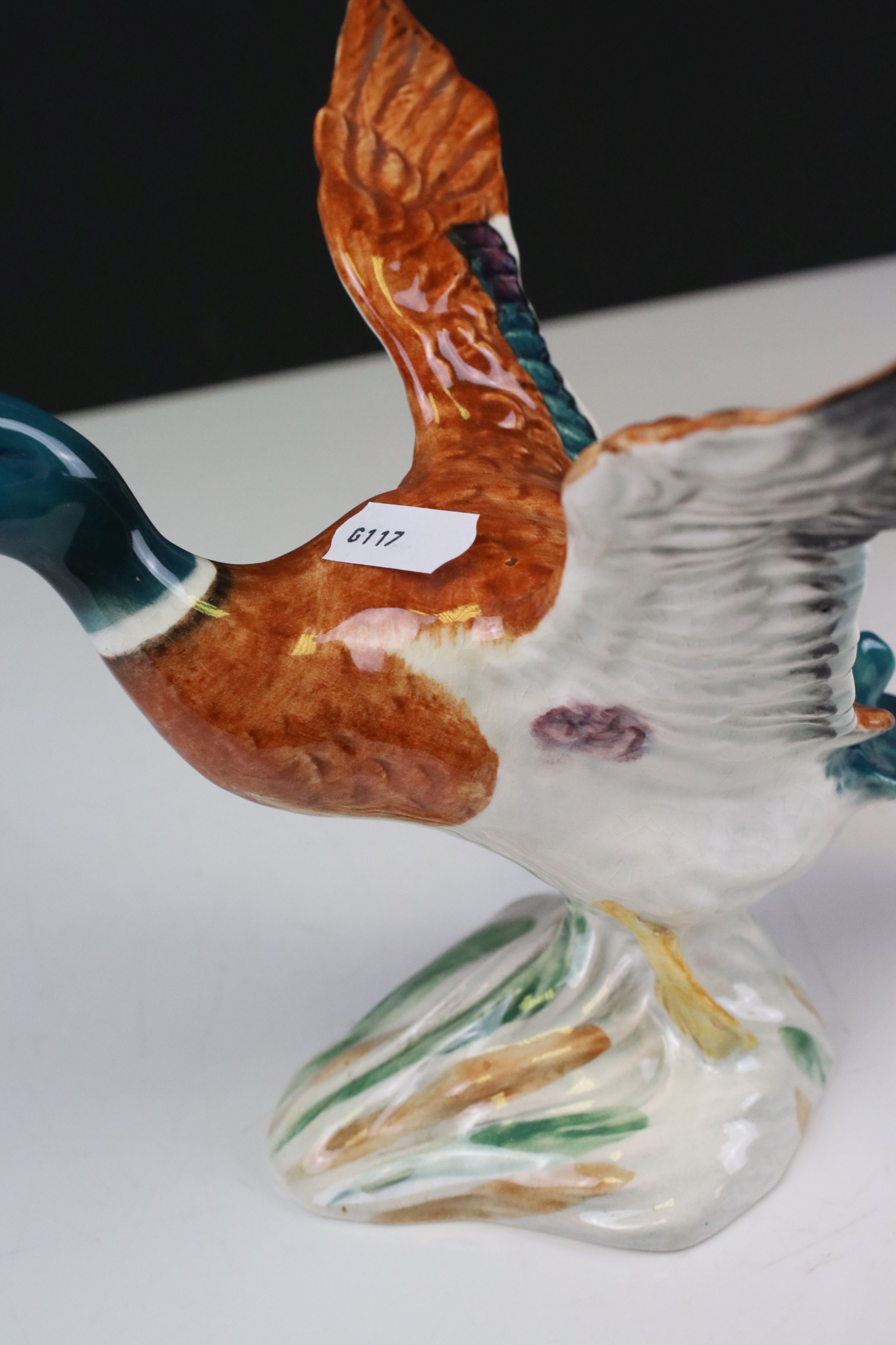 Beswick Sheldrake Duck settling, with beak open (no.995) and Beswick Mallard Duck taking off (no. - Image 6 of 8