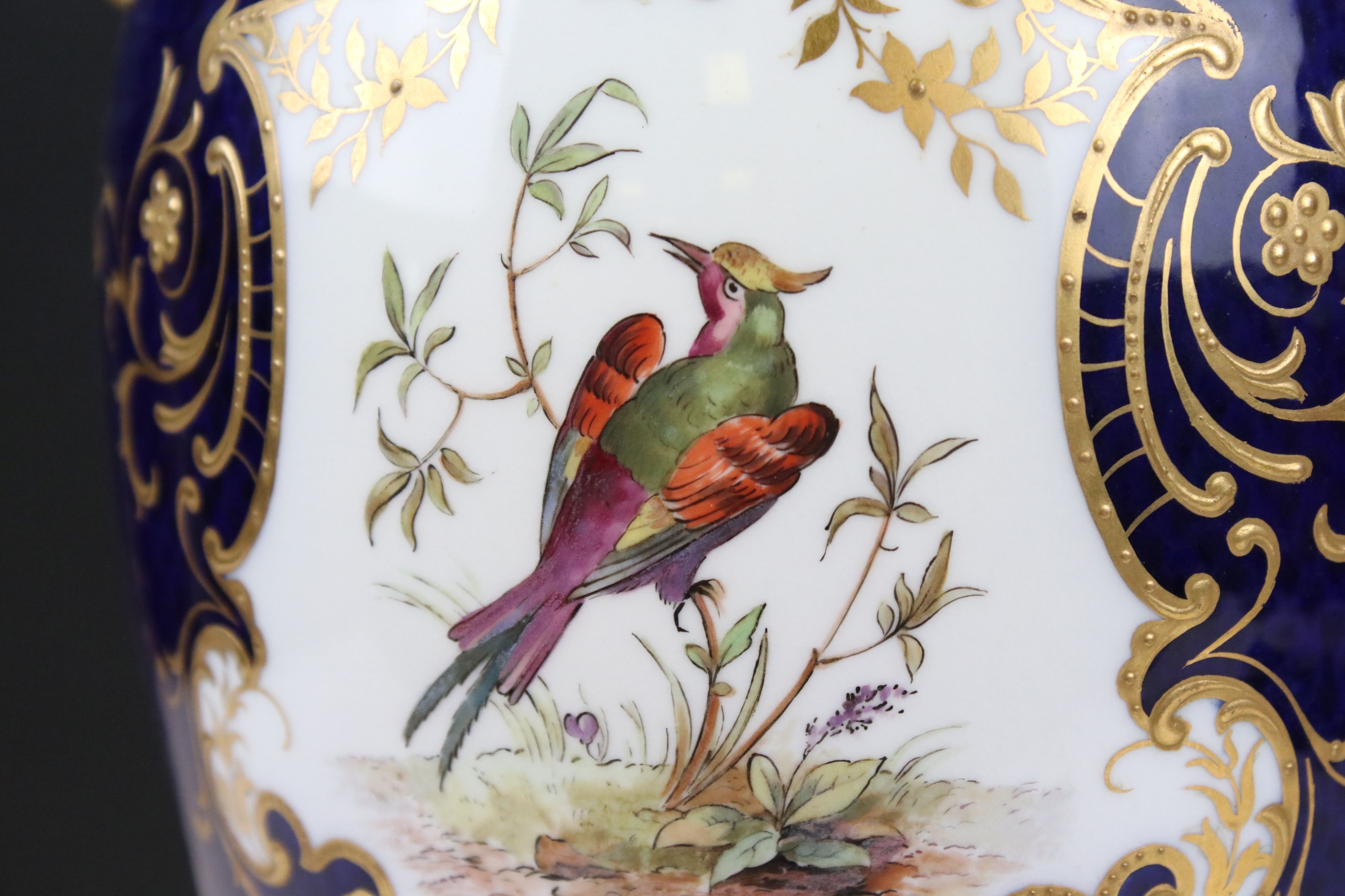 Early 20th century Coalport Twin Handled Vase, painted with panels of an exotic birds, floral sprays - Image 4 of 10