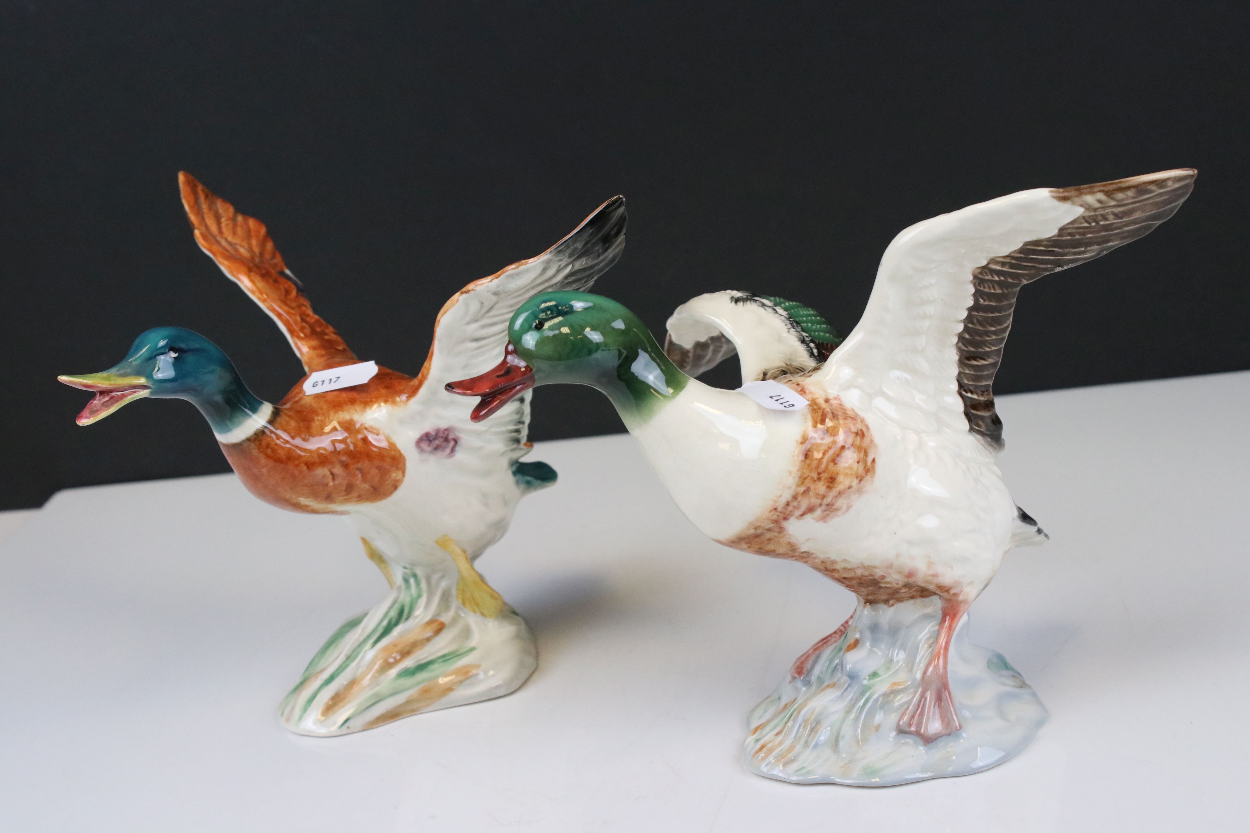 Beswick Sheldrake Duck settling, with beak open (no.995) and Beswick Mallard Duck taking off (no.