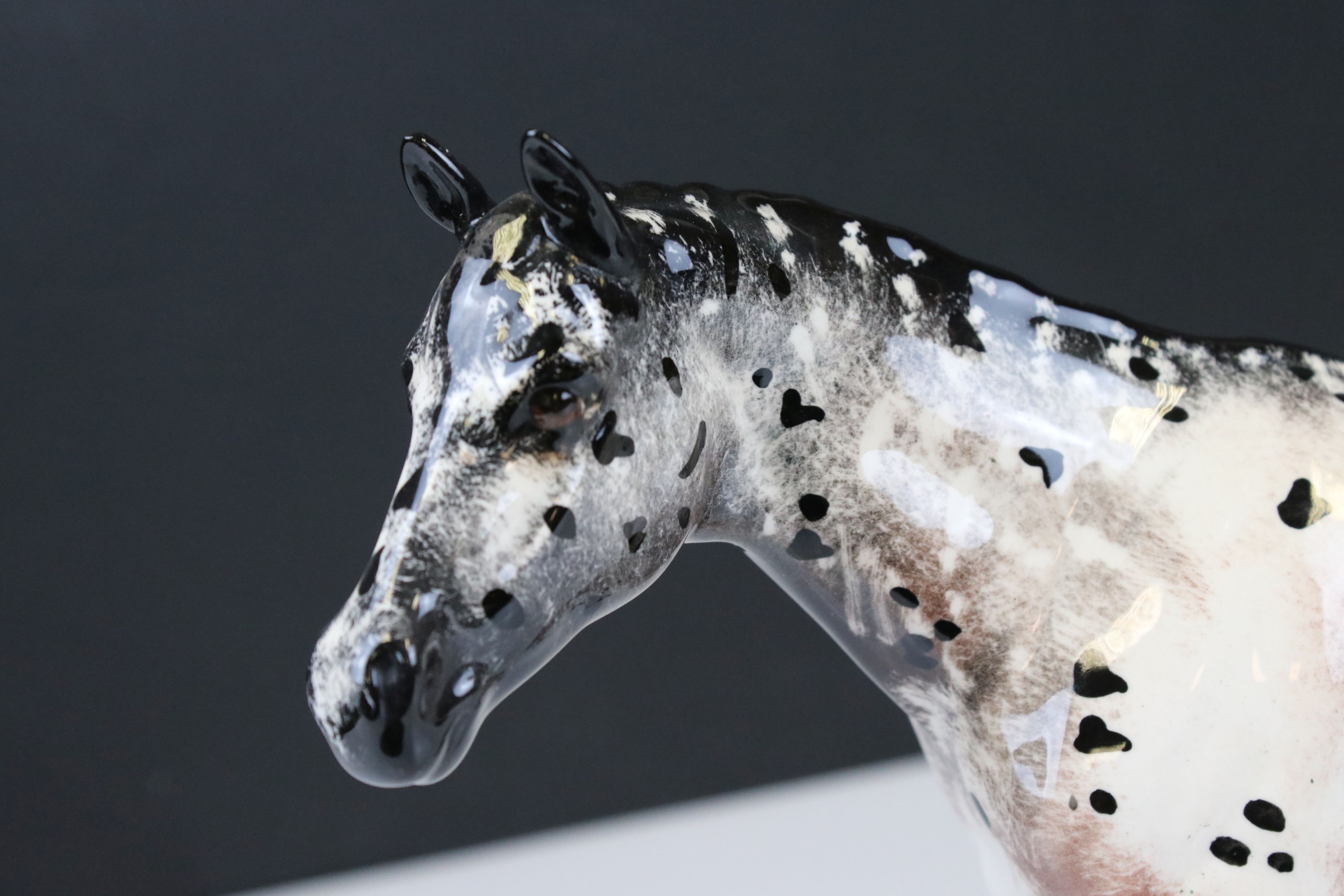 Beswick Skewbald Pinto Pony (first version) (no. 1373) together with a Beswick Appaloosa Stallion ( - Image 8 of 12