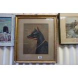 Gilt framed oil painting study of a Doberman hound