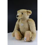 A Steiff 1906 Classic teddy bear complete with tag and button to ear.