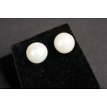 Pair of large freshwater pearl stud earrings, on silver posts