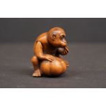 A caved Netsuke in the form of a monkey with character marks to base.