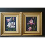 Two oil on boards of garden flowers, in gilt frames, signed Colin Turner