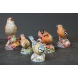 Six Royal Worcester Models of Birds including Thrush, 12cms high
