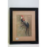 Fine ebonized framed oil painting study of a rooster on a tree bough