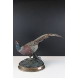 A cold painted cast metal model of a pheasant, signed Fratin to base.