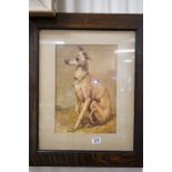 Oil painting study, in an oak frame, of a whippet dog