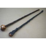 Two knobbly walking sticks