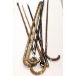 Collection of Eight Walking Sticks including Four with Silver Mounts