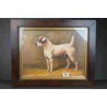 Oak framed oil painting study of a Jack Russell Terrier dog