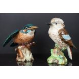 Beswick Kingfisher, model no 2371 and Beswick Kookaburra, model no. 1153