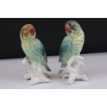 Pair of Karl Ens Love Birds / Parrots, 16cms high