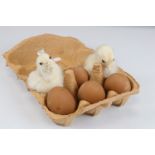 Two Taxidermy Chicks with four Rubber Eggs