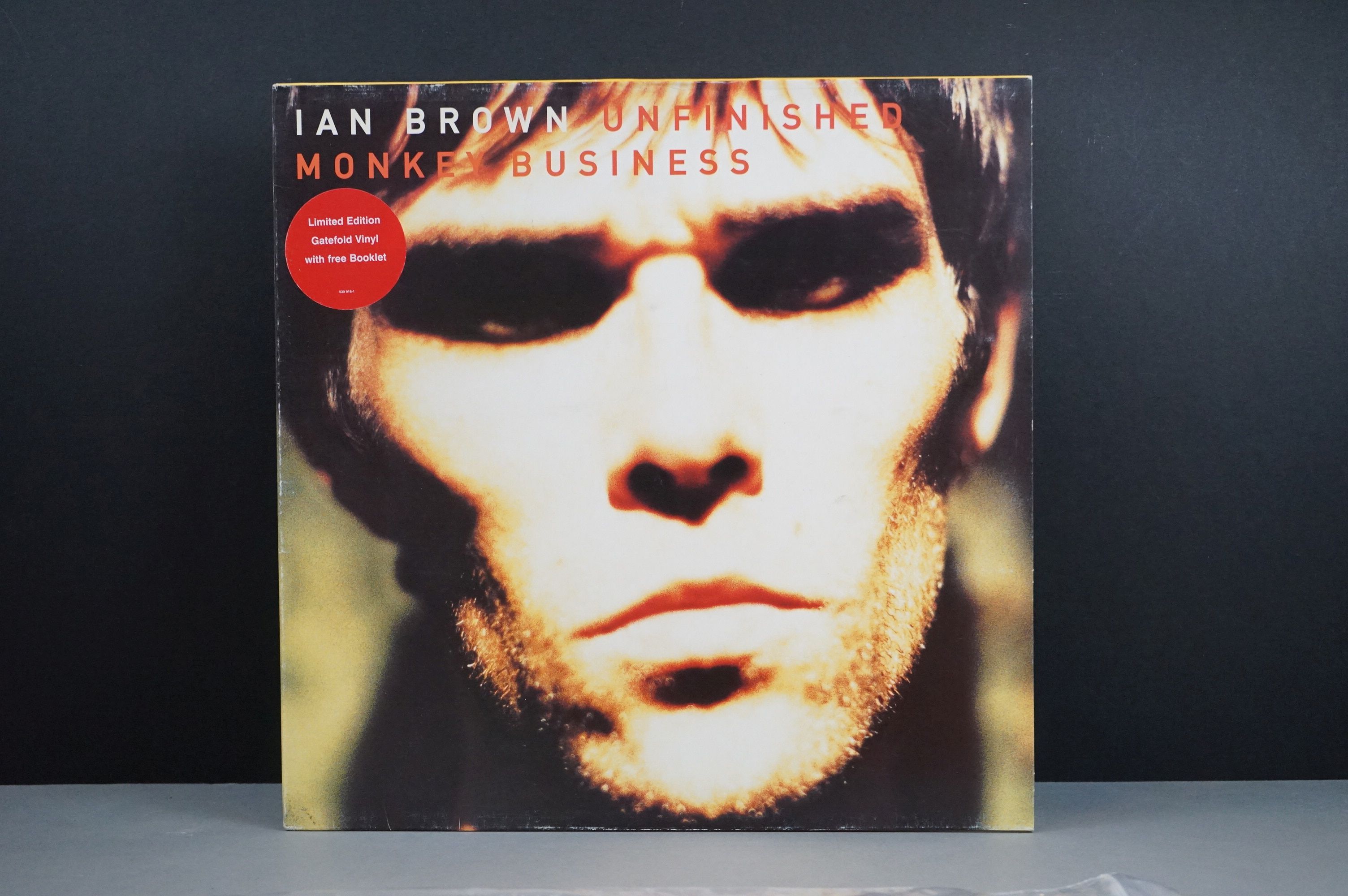 Vinyl - Two Ian Brown LPs on Polydor to include Unfinished Monkey Business 539916-1 ltd edn gatefold