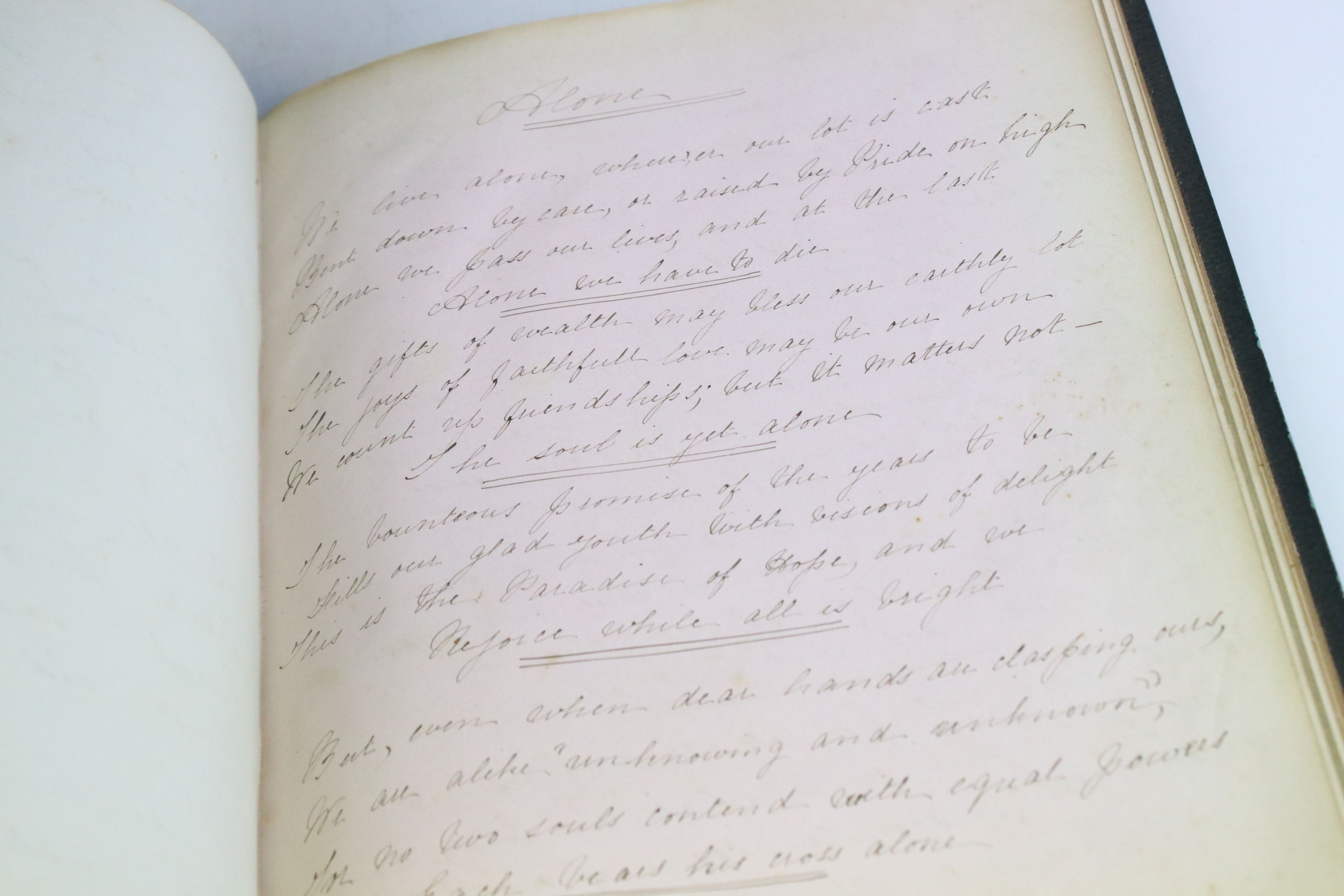 Victorian Sketchbook / Album belonging to Ann Nunney containing mainly verses dating from 1879 - Image 15 of 17