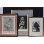 Three Framed and Glazed Prints including Golden Eagle from the Birds of America by J J Audubon and