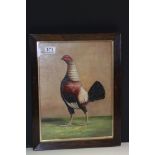 Rosewood framed oil painting, study of a fighting cockerel in a landscape
