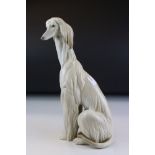 Lladro Seated Afghan Hound, model no. 1069, boxed, 31cms high