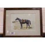 Imogen Collier (British 1872-1953), Watercolour of a South African Horse called Blackie, signed