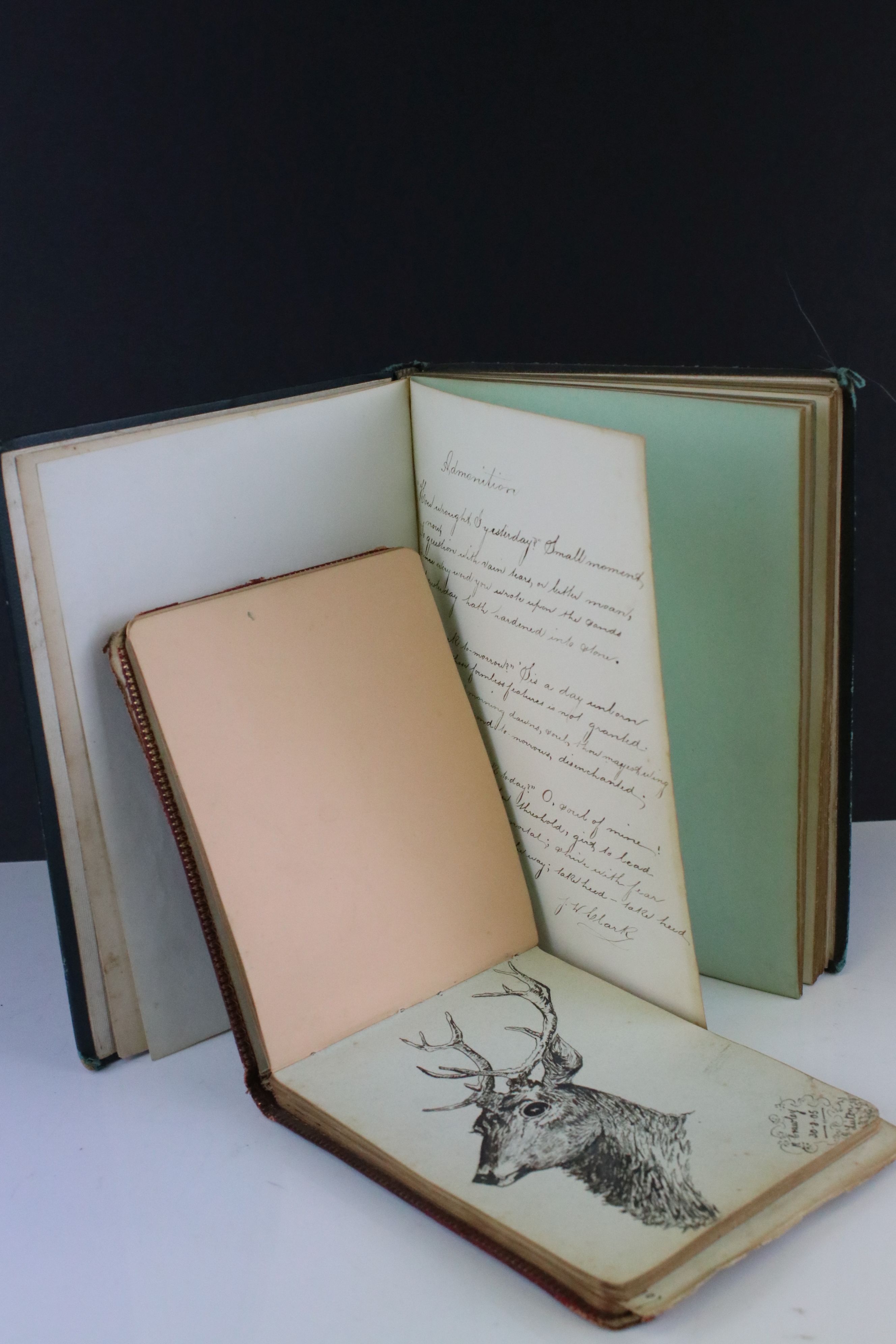 Victorian Sketchbook / Album belonging to Ann Nunney containing mainly verses dating from 1879