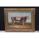 Gilt framed oil painting, study of a bull in a pastoral landscape