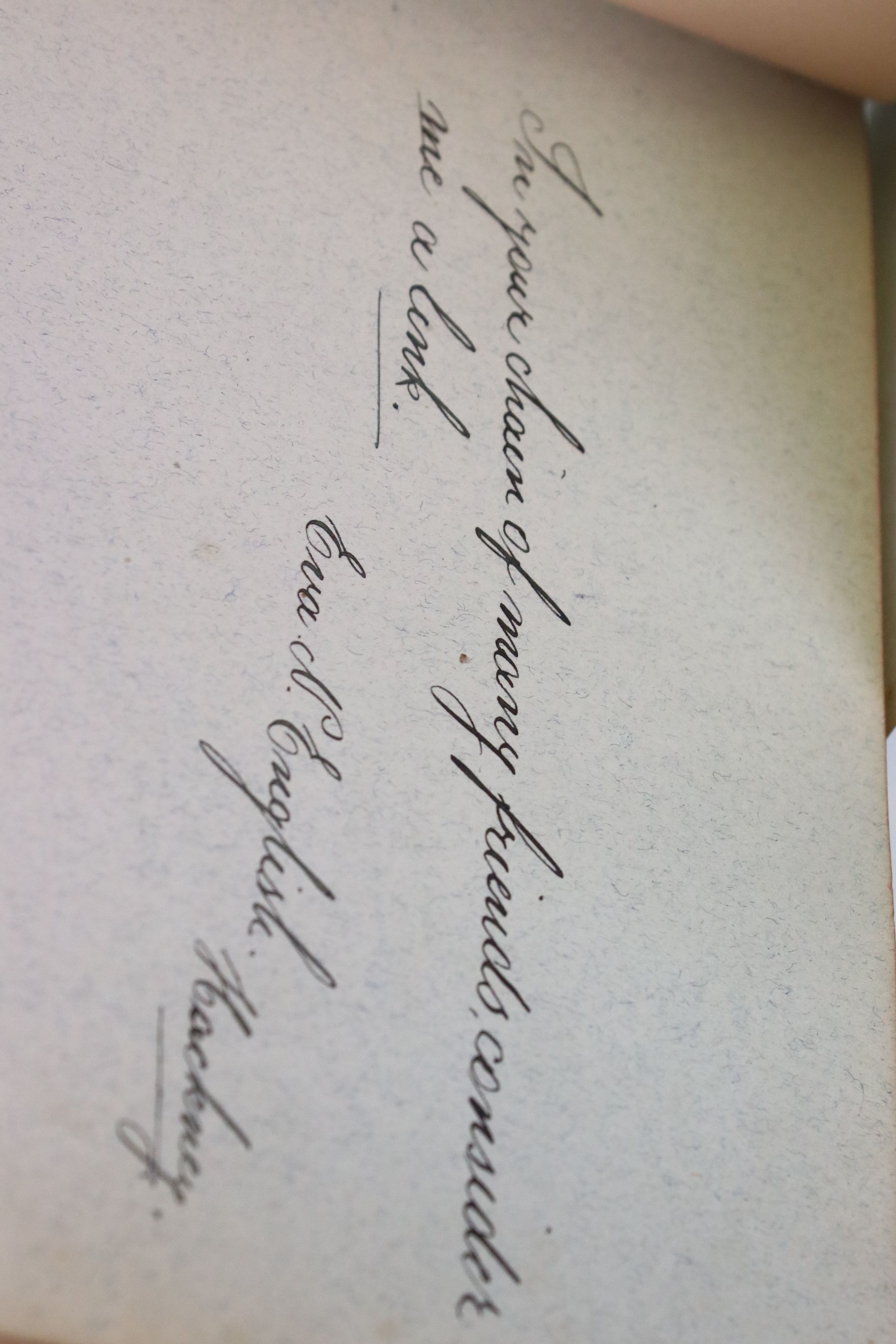 Victorian Sketchbook / Album belonging to Ann Nunney containing mainly verses dating from 1879 - Image 8 of 17