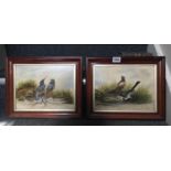 Pair of oil paintings of birds, 8" x " on board signed J Hume and dated 1922, 1 picture with 2 x